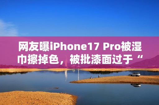 网友曝iPhone17 Pro被湿巾擦掉色，被批漆面过于“脆弱”