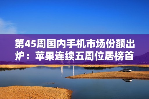 第45周国内手机市场份额出炉：苹果连续五周位居榜首