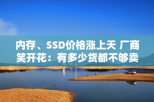 内存、SSD价格涨上天 厂商笑开花：有多少货都不够卖