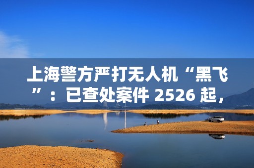 上海警方严打无人机“黑飞”：已查处案件 2526 起，景区成重灾区