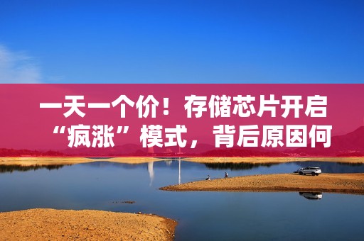 一天一个价！存储芯片开启“疯涨”模式，背后原因何在？