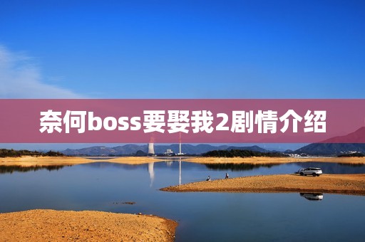 奈何boss要娶我2剧情介绍