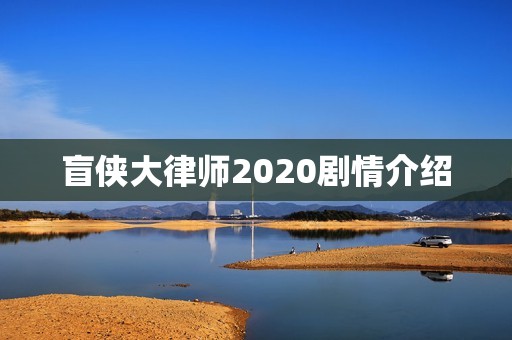 盲侠大律师2020剧情介绍