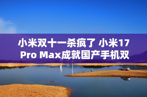 小米双十一杀疯了 小米17 Pro Max成就国产手机双冠王