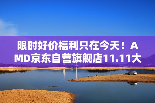 限时好价福利只在今天！AMD京东自营旗舰店11.11大促正当时