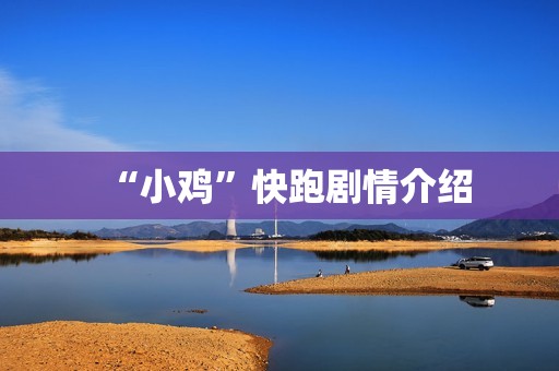 “小鸡”快跑剧情介绍