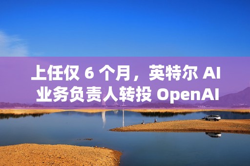 上任仅 6 个月，英特尔 AI 业务负责人转投 OpenAI