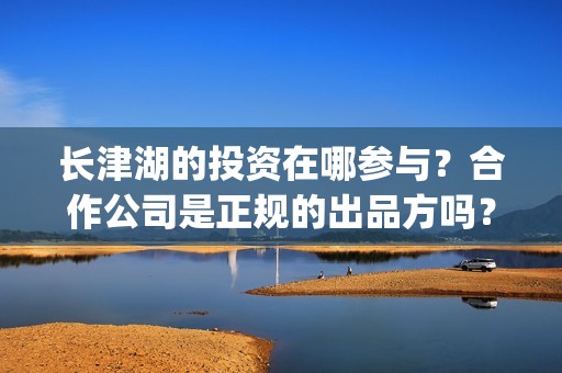 长津湖的投资在哪参与？合作公司是正规的出品方吗？(长津湖投资了几个亿)