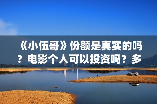《小伍哥》份额是真实的吗？电影个人可以投资吗？多少起投呢？(网红小伍哥怎么火的)