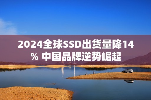 2024全球SSD出货量降14% 中国品牌逆势崛起