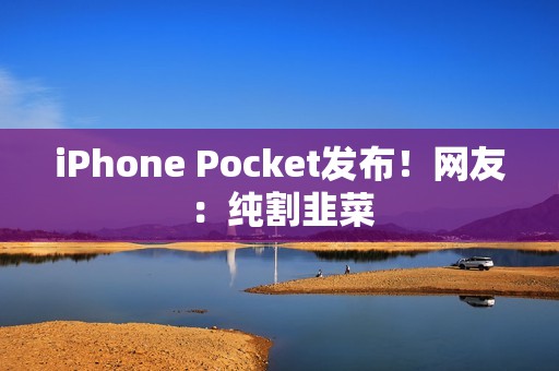 iPhone Pocket发布！网友：纯割韭菜