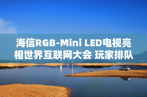 海信RGB-Mini LED电视亮相世界互联网大会 玩家排队体验《黑神话》