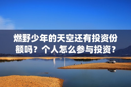 燃野少年的天空还有投资份额吗？个人怎么参与投资？成本多少？(燃野少年的天空电视剧免费观看全集)