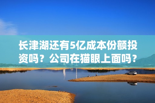 长津湖还有5亿成本份额投资吗？公司在猫眼上面吗？(长津湖45亿)