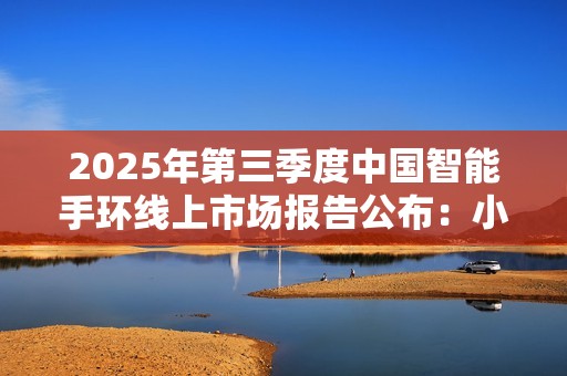 2025年第三季度中国智能手环线上市场报告公布：小米手环登顶行业第一！
