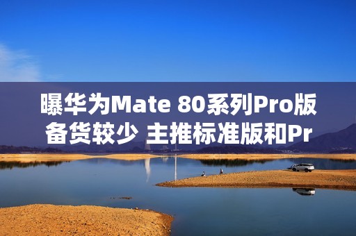 曝华为Mate 80系列Pro版备货较少 主推标准版和Pro+