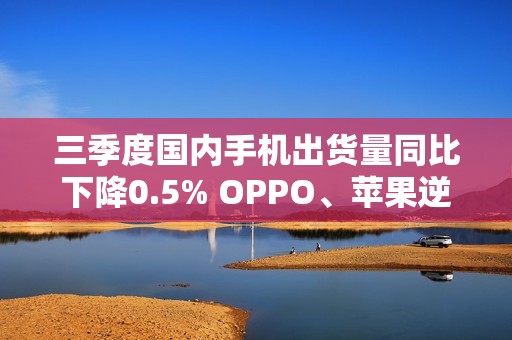 三季度国内手机出货量同比下降0.5% OPPO、苹果逆增