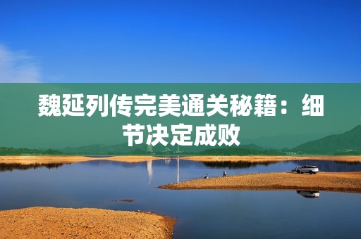 魏延列传完美通关秘籍：细节决定成败
