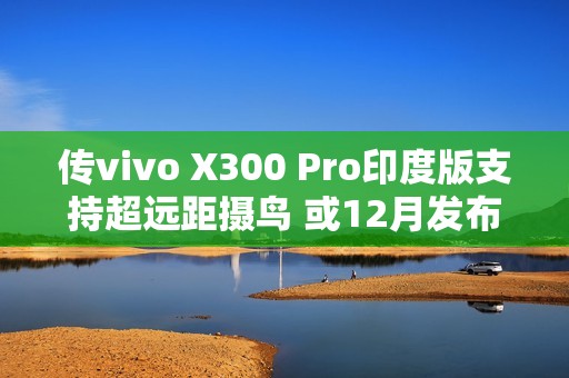 传vivo X300 Pro印度版支持超远距摄鸟 或12月发布