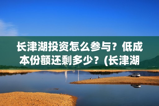 长津湖投资怎么参与？低成本份额还剩多少？(长津湖哪里投资)