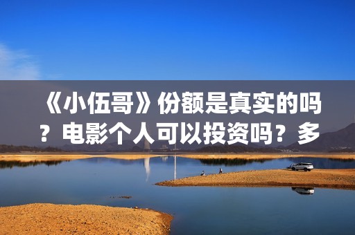 《小伍哥》份额是真实的吗？电影个人可以投资吗？多少起投呢？(电影小伍哥是哪家公司制片的)