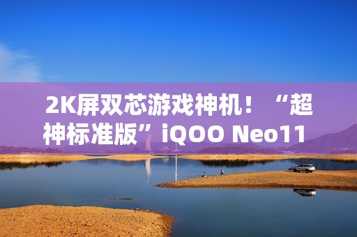 2K屏双芯游戏神机！“超神标准版”iQOO Neo11 起售价2599元