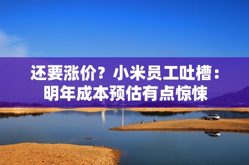 还要涨价？小米员工吐槽：明年成本预估有点惊悚