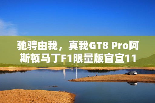 驰骋由我，真我GT8 Pro阿斯顿马丁F1限量版官宣11月10日开售