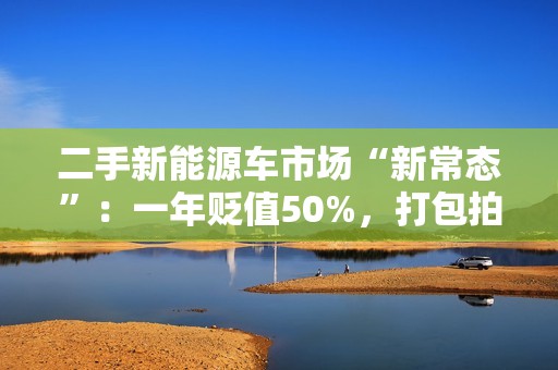 二手新能源车市场“新常态”：一年贬值50%，打包拍卖成主流