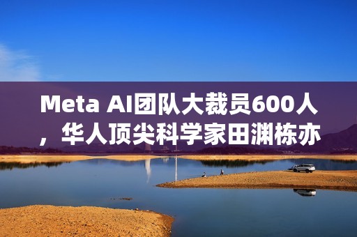 Meta AI团队大裁员600人，华人顶尖科学家田渊栋亦在其中