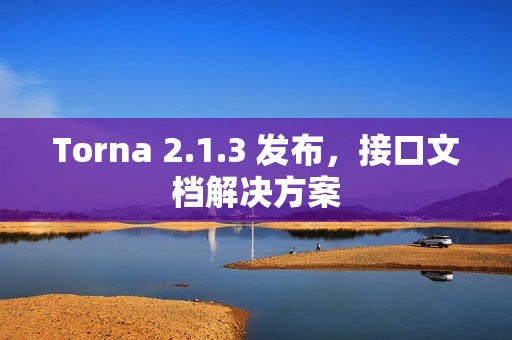 Torna 2.1.3 发布，接口文档解决方案