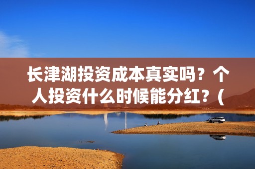 长津湖投资成本真实吗？个人投资什么时候能分红？(长津湖总投资多少钱)