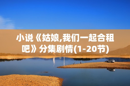 小说《姑娘,我们一起合租吧》分集剧情(1-20节)