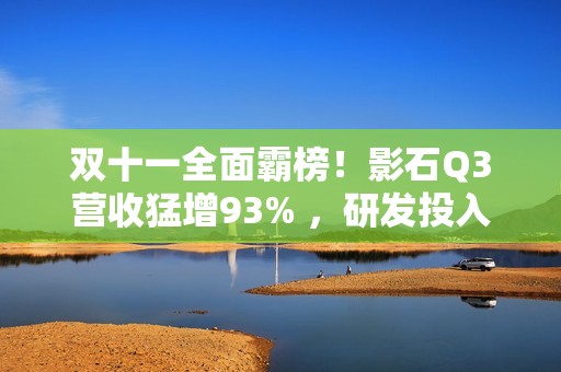 双十一全面霸榜！影石Q3营收猛增93% ，研发投入翻倍加码定制芯片