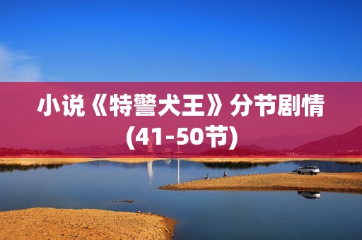 小说《特警犬王》分节剧情(41-50节)