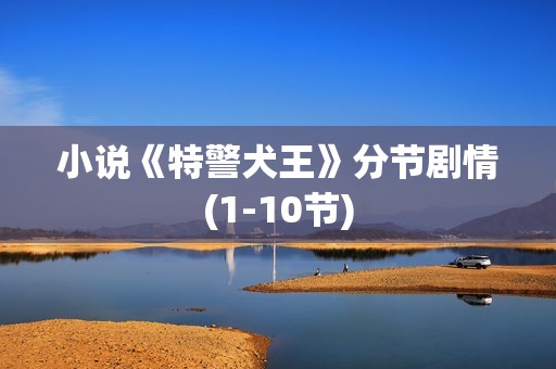 小说《特警犬王》分节剧情(1-10节)