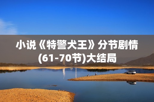 小说《特警犬王》分节剧情(61-70节)大结局