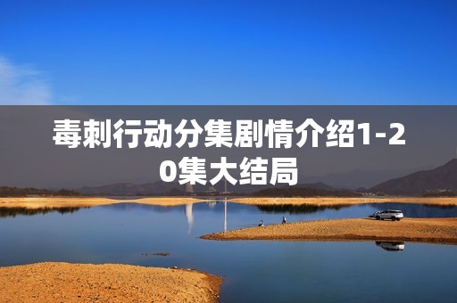 毒刺行动分集剧情介绍1-20集大结局