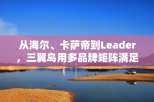 从海尔、卡萨帝到Leader，三翼鸟用多品牌矩阵满足中国家庭需求