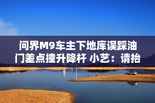 问界M9车主下地库误踩油门差点撞升降杆 小艺：请抬脚！