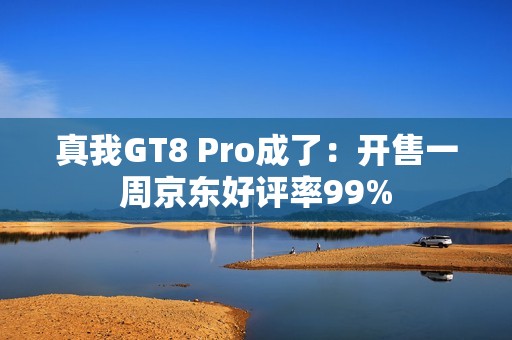 真我GT8 Pro成了：开售一周京东好评率99%