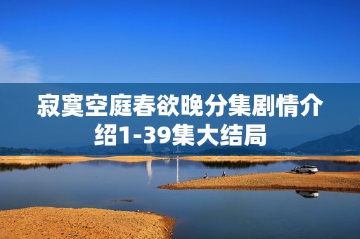 寂寞空庭春欲晚分集剧情介绍1-39集大结局
