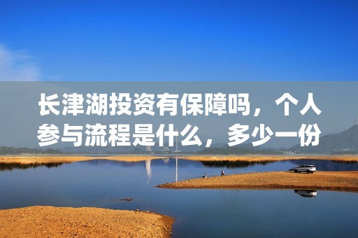 长津湖投资有保障吗，个人参与流程是什么，多少一份？(长津湖下部投资)