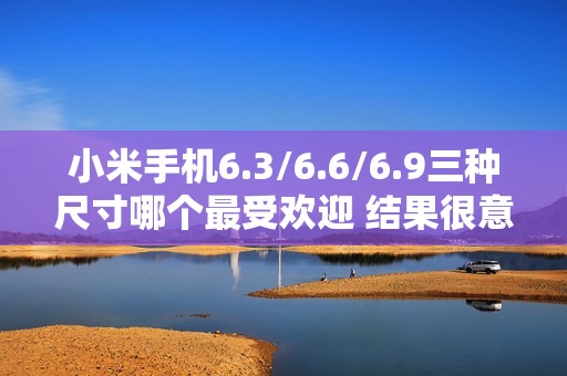 小米手机6.3/6.6/6.9三种尺寸哪个最受欢迎 结果很意外