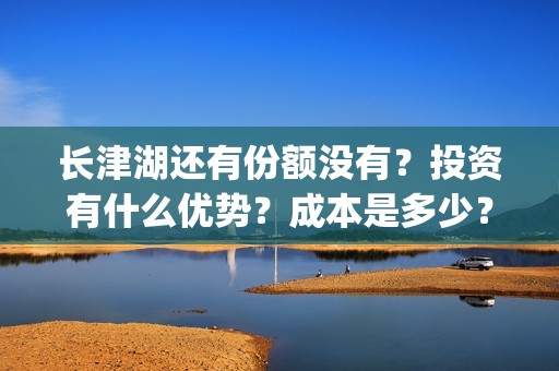 长津湖还有份额没有？投资有什么优势？成本是多少？(长津湖还有后续吗)
