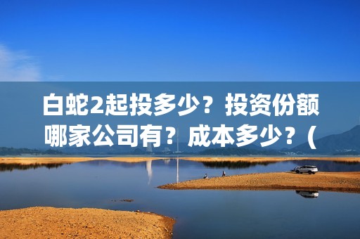 白蛇2起投多少？投资份额哪家公司有？成本多少？(白蛇2耗资)