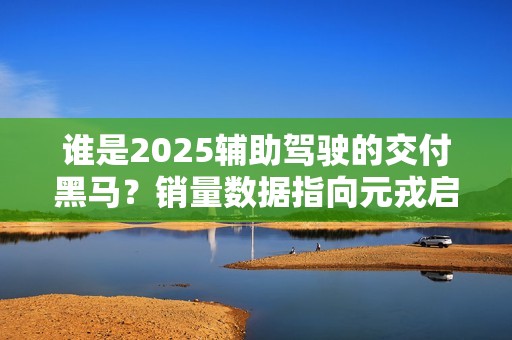 谁是2025辅助驾驶的交付黑马？销量数据指向元戎启行