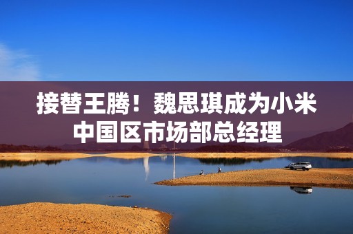 接替王腾！魏思琪成为小米中国区市场部总经理