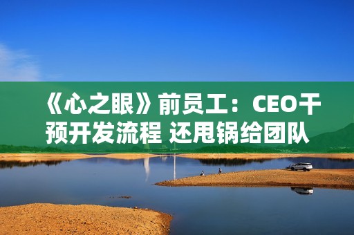 《心之眼》前员工：CEO干预开发流程 还甩锅给团队