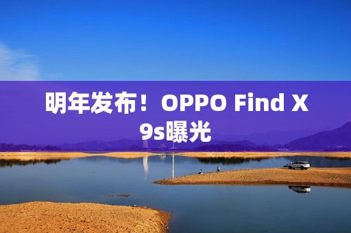 明年发布！OPPO Find X9s曝光